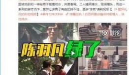 队长爆料视频大全,揭秘幕后真相与精彩瞬间